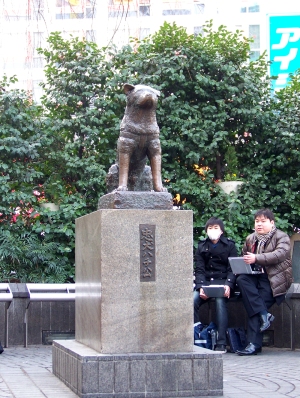 The famous Hachiko statue at Shibuya Station, Tokyo.